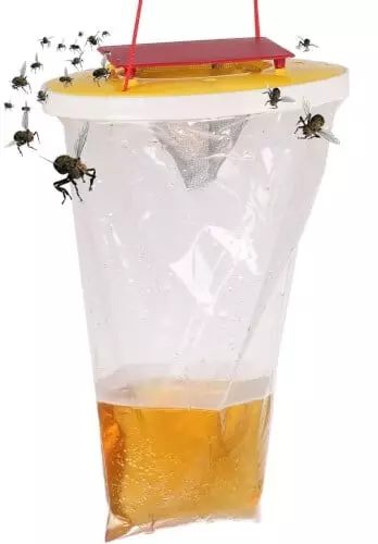 Hyönteisansa flytrap - Hyönteisansat ja välineet - 6438168093550 - 1
