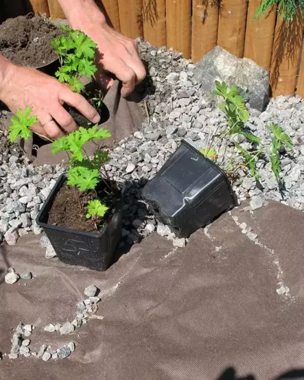 Maisemointikangas 32m2 3,20x10m - Piha- ja rakennuskangas - 6430040621530 - 2