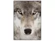 SUSI MATTO 100X150CM - Allaskemikaalit ja -suodattimet - 6417645318560 - 1