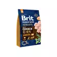 Brit Premium by Nature Senior S-M 3kg pienten ja keskikokoisten rotujen iäkkäille koirille - Koiran kuivaruoat - 8595602526390 - 1