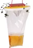 Hyönteisansa flytrap - Hyönteisansat ja välineet - 6438168093550 - 1