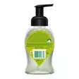 Palmolive Lime&Passion Fruit nestesaippua 250ml - Nestesaippuat - 8718951257870 - 2