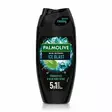 PALMOLIVE MEN COOL SPLASH 5 in 1 - Hiustenhoito ja hiuskoristeet - 8718951588110 - 1