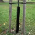 Rungonsuojaverkko 50-60cm x 90cm - Juutti- ja suojaverkot - 6430068433160 - 1