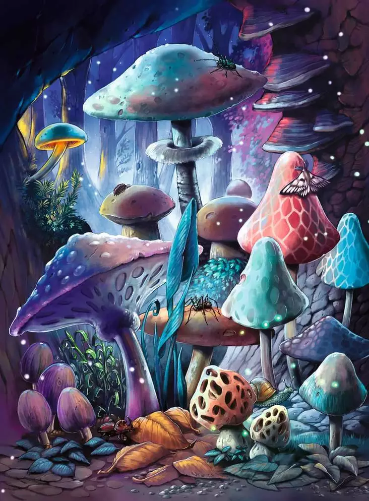 Ravensburger Palapeli Mushrooms 500p palaa - Palapelit ja pulmapelit - 4005555013860 - 1