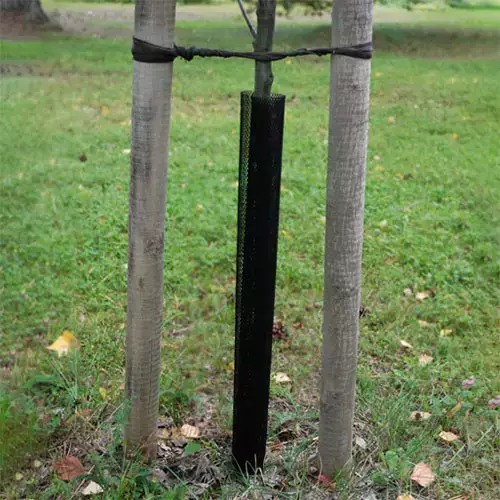 Rungonsuojaverkko 50-60cm x 90cm - Juutti- ja suojaverkot - 6430068433160 - 1