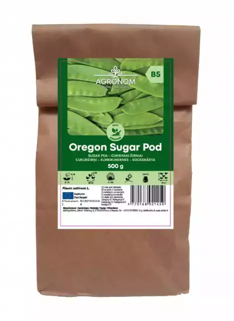 Sokeriherne Oregon sugar 500g - Siemenet ja sipulit - 4770168921450 - 1