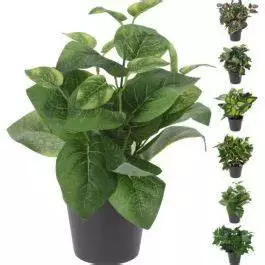 Viherkasvi 26cm - Tekokasvit ja -kukat - 8719987875540 - 1