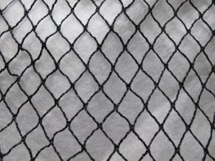 Lintuverkko pro 8x8m - Tuhoeläinten ja rikkakasvien torjunta - 6430040629451 - 1