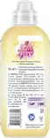Comfort Honeysuckle&Sandalwood - Pyykinpesu- ja huuhteluaineet - 8720181638701 - 2