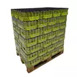 Monster Energy Lando Norris Zero Sugar energiajuoma 0,5l 1000KPL LAVA - Energiajuomat - 5056784907962-1 - 1