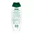 PALMOLIVE ORCHID SUIHKUSAIPP - Hiustenhoito ja hiuskoristeet - 8714789733241 - 2