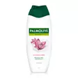 PALMOLIVE ORCHID SUIHKUSAIPP - Hiustenhoito ja hiuskoristeet - 8714789733241 - 1
