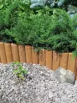 Puureunanauha 20cm / 2M ruskea - Pihakoristeet - 6430040621691 - 1