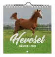 Suomen AIKA kalenterit Hevoset 2025 - Sisustusesineet - 6429810296191 - 1