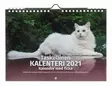 Suomen Aika kalenterit Taskullinen-Kissa - Kalenterit - 6429810296221 - 1