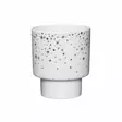 Winteria ruukku Tähtisäde 13cm kulta - Joulu - 6410416511351 - 1