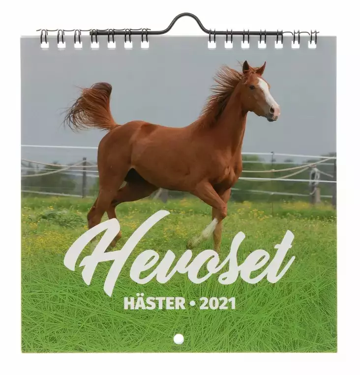 Suomen AIKA kalenterit Hevoset 2025 - Sisustusesineet - 6429810296191 - 1