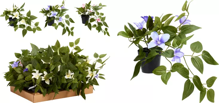 Viherkasvi riippuva - Tekokasvit ja -kukat - 8721037827881 - 1