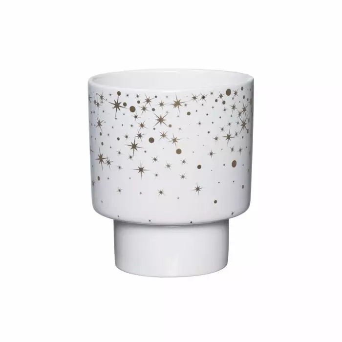 Winteria ruukku Tähtisäde 13cm kulta - Joulu - 6410416511351 - 1