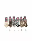 Nordsox leopardi sneakersukka 37-41 - Naisten sukat ja sukkahousut - 6438506017552 - 7