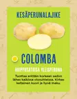 Siemenperuna Colomba 5kg - Siemenet ja sipulit - 6420617360672 - 1