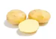 Siemenperuna Colomba 5kg - Siemenet ja sipulit - 6420617360672 - 2