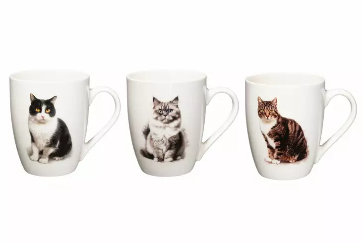 4LIving Kissamuki 34CL Mainecoon - Mukit ja kahvikupit - 6410416531342 - 1