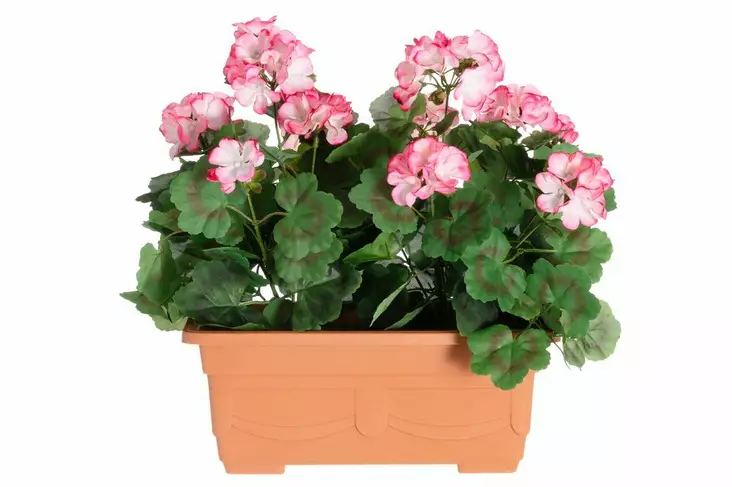 Pelargonia parvekeruukussa pink/valk - Tekokasvit ja -kukat - 6410416437002 - 1