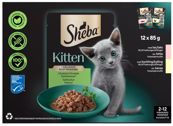 Sheba Kitten kanaa ja lohta 12x85g - Kissan märkäruoat - 4770608264772 - 1