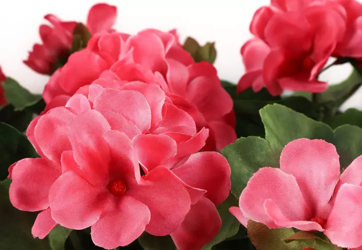 Silkki pelargonia parvekeruukussa pinkki - Tekokasvit ja -kukat - 6410416319902 - 4