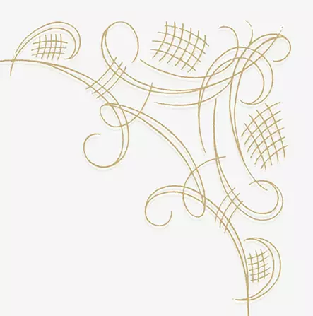 Havi Koristeliina 24cm 40kpl/pkt - Lautasliinat - 6411636401743 - 1