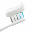 Elmex Professional Anti-Caries 75ml - Hammastahnat - 8718951363113 - 5