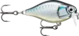 Rapala X-Light Crank Shallow Runner 3,5cm BAP - Vaaput - 022677339603 - 1