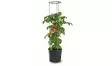 Tomaatinkasvatusruukku tuella 39cm - Turve- ja kasvatusruukut - 5905197289113 - 1