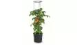 Tomaatinkasvatusruukku tuella 39cm - Turve- ja kasvatusruukut - 5905197289113 - 1