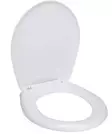 WC-istuimen kansi valk. 45x38x4,5cm - WC ja kylpyhuonetarvikkeet - 8721037046633 - 1