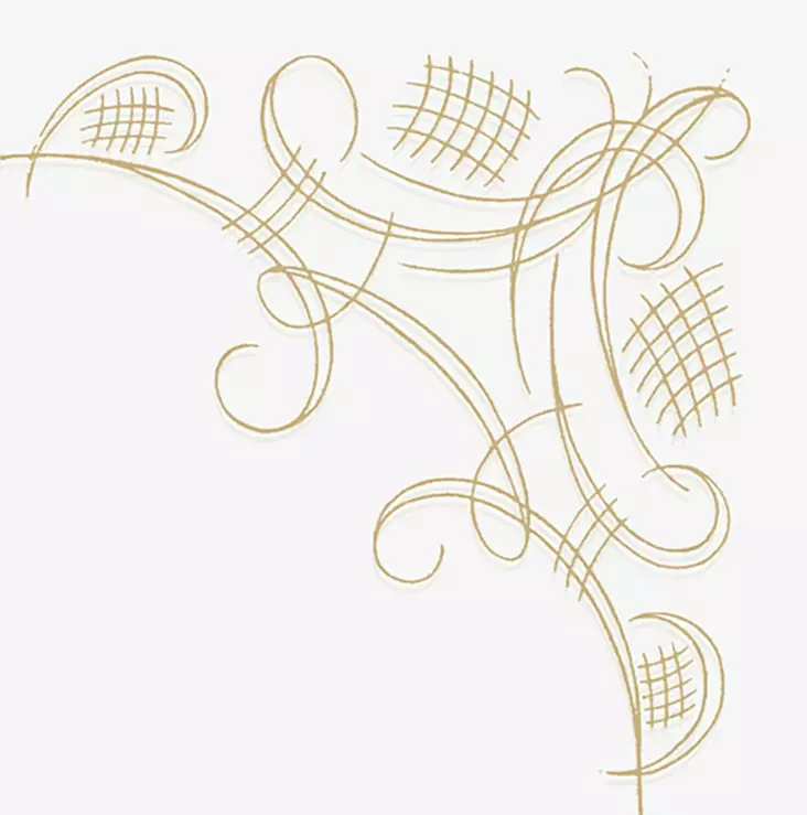 Havi Koristeliina 24cm 40kpl/pkt - Lautasliinat - 6411636401743 - 1