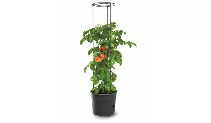 Tomaatinkasvatusruukku tuella 39cm - Turve- ja kasvatusruukut - 5905197289113 - 1