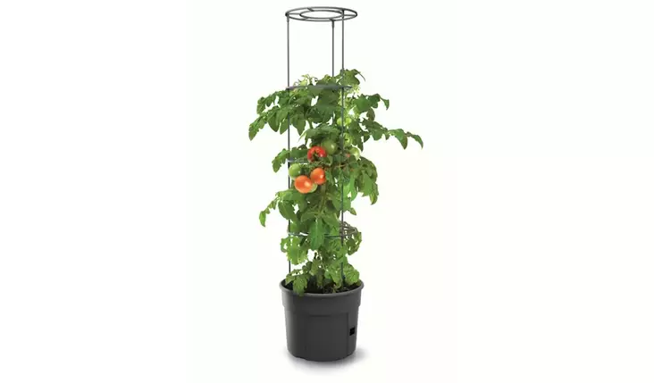 Tomaatinkasvatusruukku tuella 39cm - Turve- ja kasvatusruukut - 5905197289113 - 1