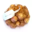 Jakosipuli Salotti 7/15 500g - Siemenet ja sipulit - 6415152980324 - 1