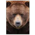KARHU MATTO 100X150CM - Allaskemikaalit ja -suodattimet - 6417645318584 - 1