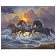 Paint by numbers horse trio - Muut askartelutarvikkeet - 3760329696274 - 1