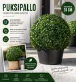 Puksipallo 28cm - Tekokasvit ja -kukat - 6438159220514 - 2