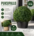 Puksipallo 28cm - Tekokasvit ja -kukat - 6438159220514 - 2