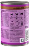 Whiskas Ankkaa hyytelössä 400g - Kissan märkäruoat - 5900951305474 - 2