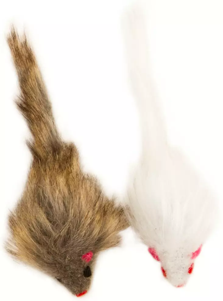 BF Missy 2kpl - Kissan lelut - 5700551250934 - 1