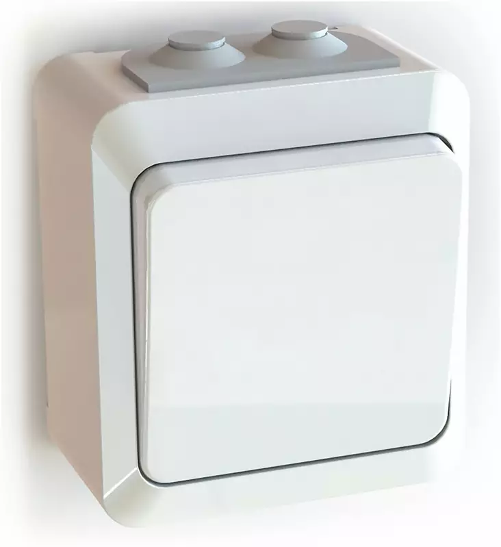 Etman kytkin 1/6 IP44 pinta - Sähköasennuskytkimet - 6438140961204 - 1