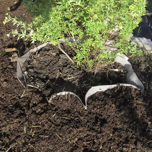 Juurimatto 12m2 3,45x3,5m - Juurikangas - 6430040621974 - 1