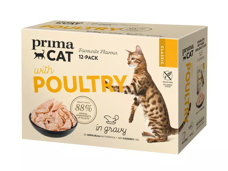 PCC Siipikarja kastikkeessa 12x85g - Kissan märkäruoat - 6438554009004 - 1